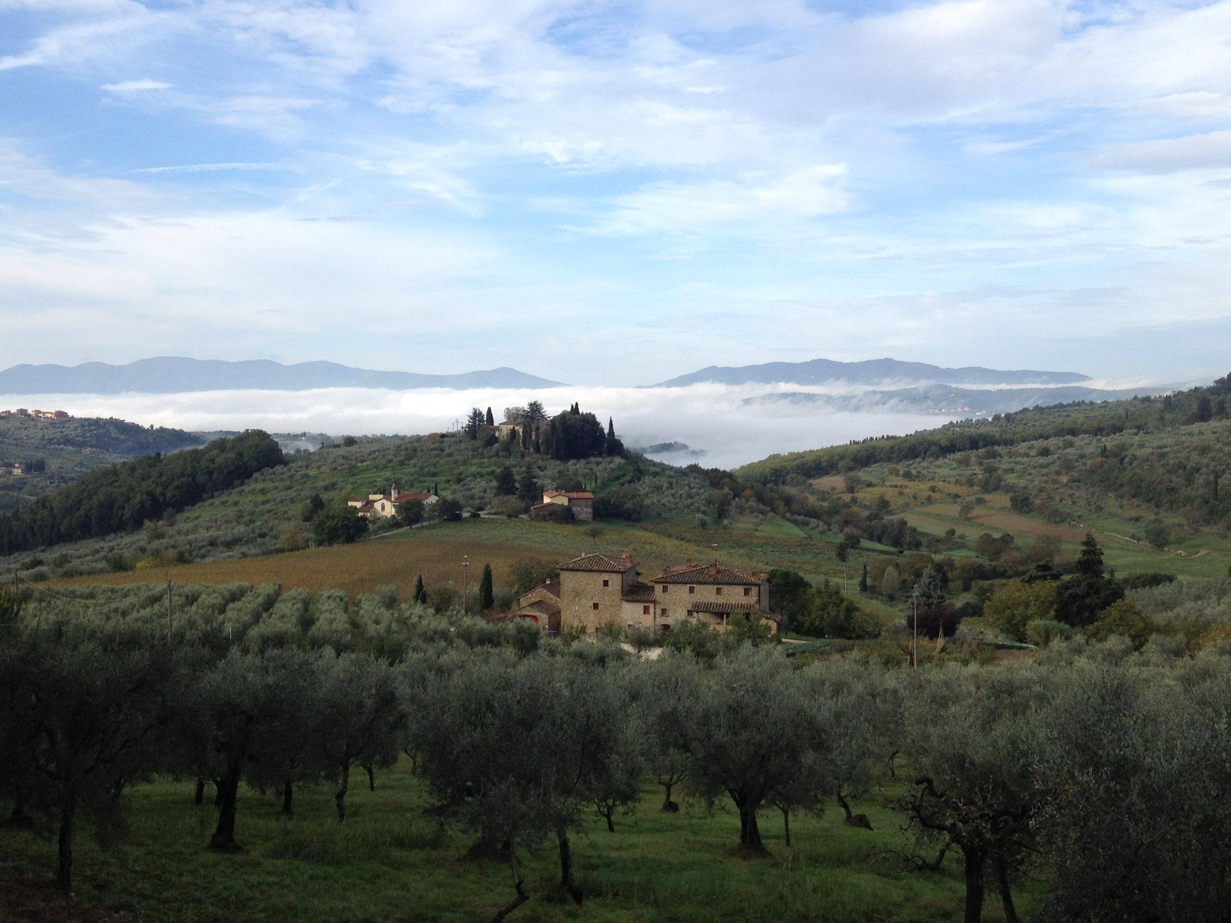 Colline coperte di ulivi con la nebbia del mattino nella valle