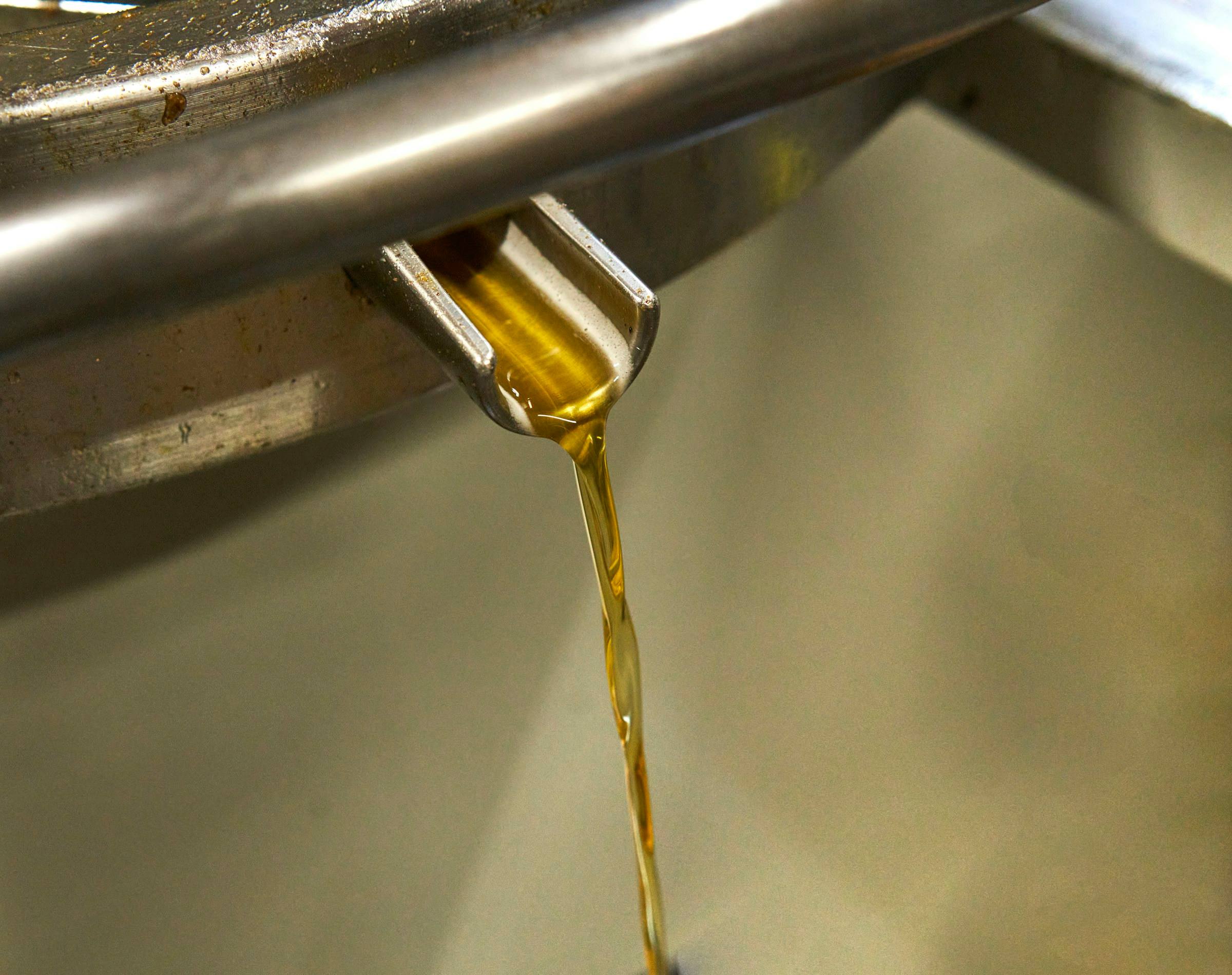 Olio che scende da un beccuccio d'acciaio del separatore